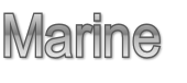 Marine
